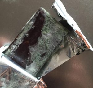 Moldy Paleo Protein Bar 1